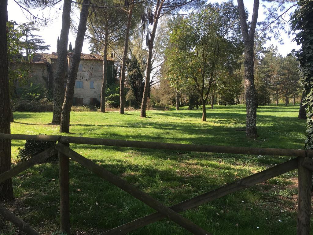 Old Town In The Green: Federico's Apartment. Apartamento *