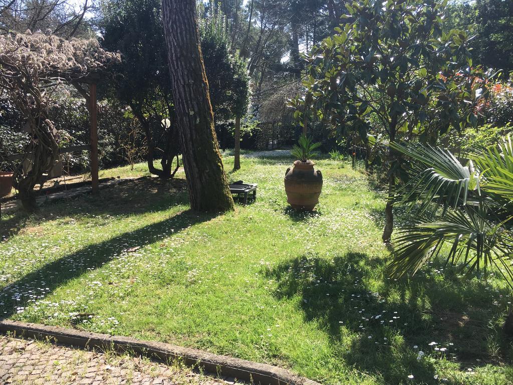 Old Town In The Green: Federico's Apartment. Florencia